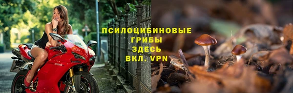 прущая мука Гусиноозёрск