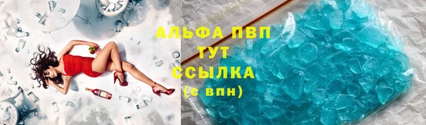 спайс Гусь-Хрустальный