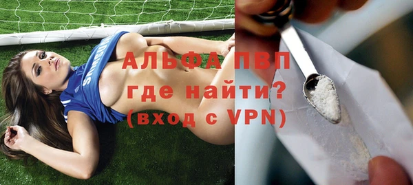спайс Гусь-Хрустальный