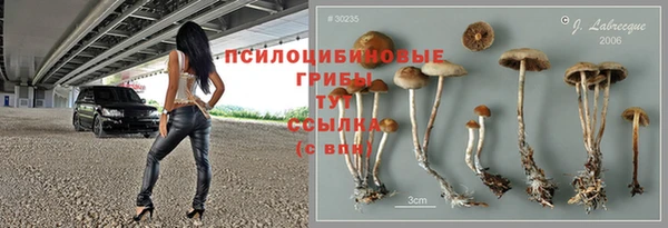 спайс Гусь-Хрустальный